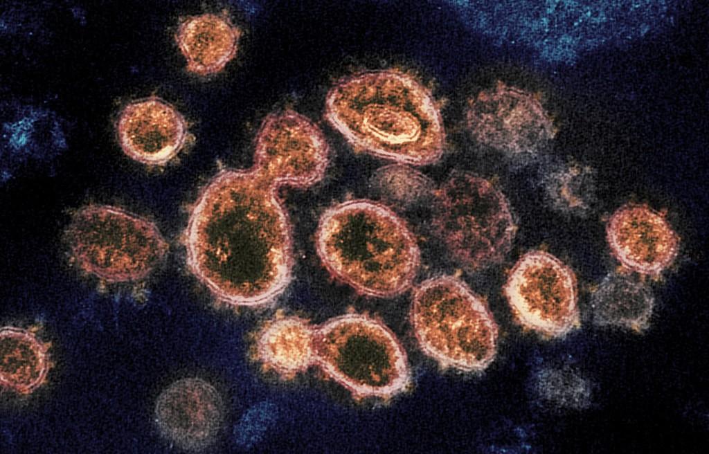 Coronavírus pode seguir ativo no organismo mesmo após sintomas ...